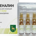 Адреналин