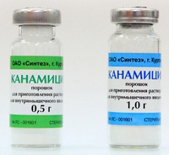Реферат: Ампульное производство гентамицина сульфата