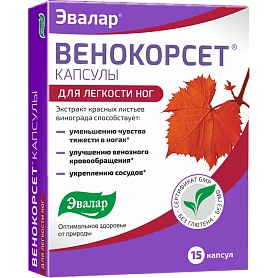 Венокорсет