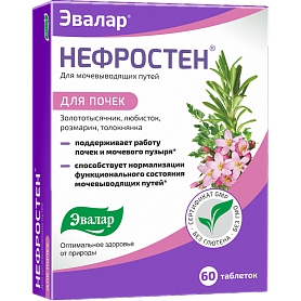 Нефростен