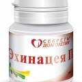 Эхинацея