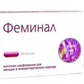 Феминал