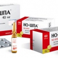 Но-шпа