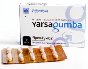 Ярсагумба