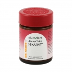 Доктор Тайсс Эвкалипт