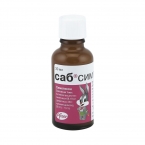 Саб Симплекс