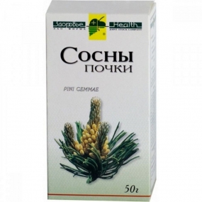 Сосны почки