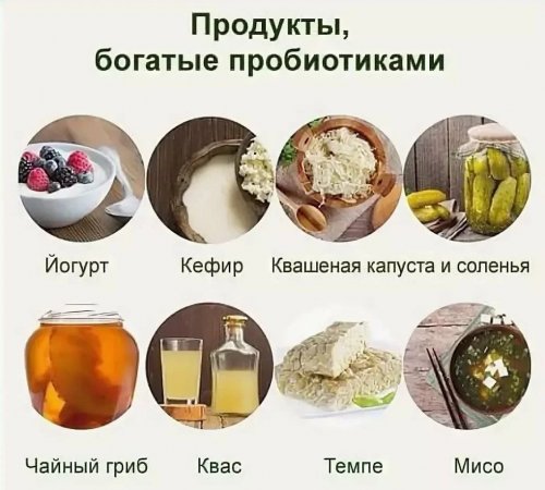 Пробиотики в продуктах