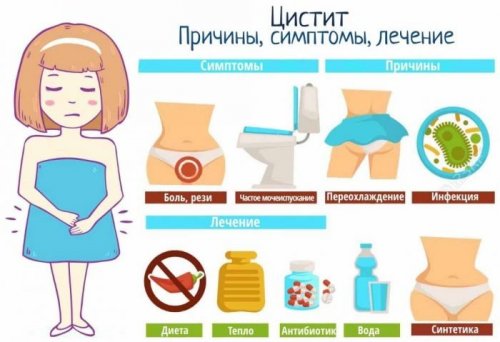 Симптомы, причины и лечение цистита