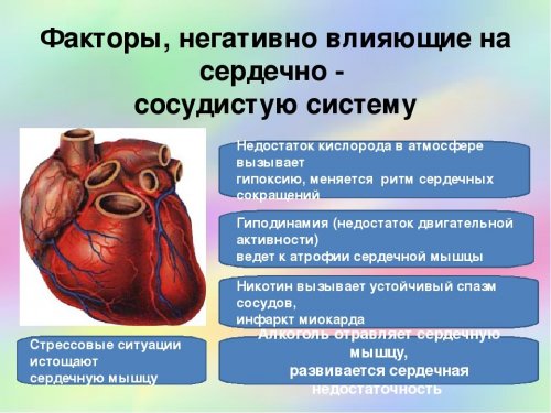 Факторы, негативно влияющие на сердце и сосуды