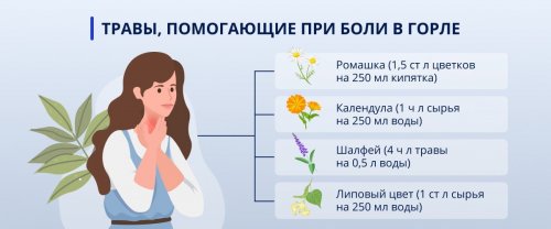 Травы для полоскания горла