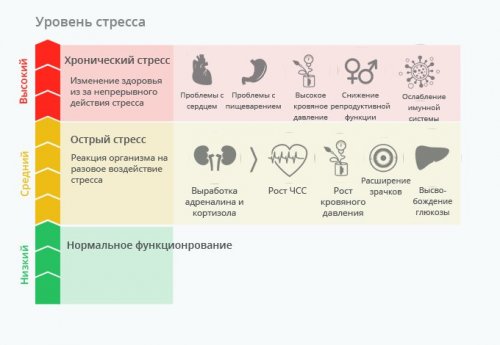 Влияние стресса на организм