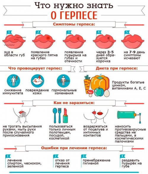 Все о герпесе