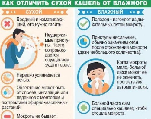 Сухой и влажный кашель: как отличить?