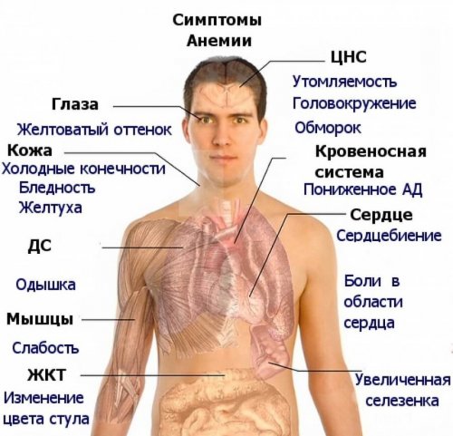 Симптомы нехватки железа