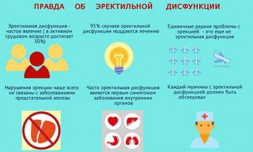 Факты об эректильной дисфункции