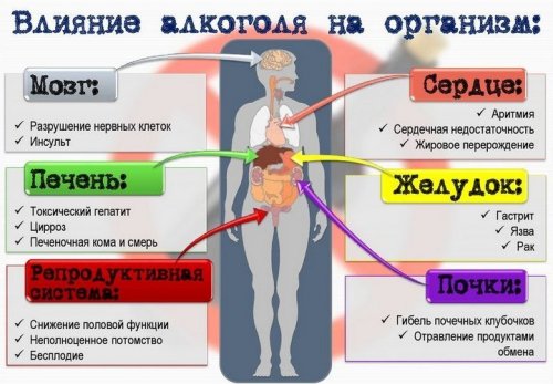 Как алкоголь влияет на организм