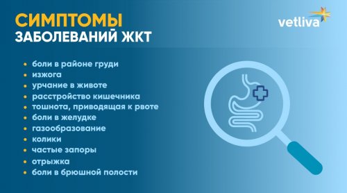 Симптомы заболеваний ЖКТ