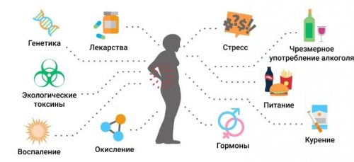 Причины остеопороза