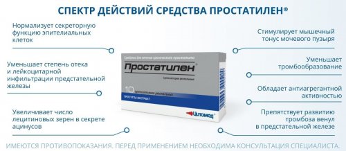 Как работает "Простатилен"
