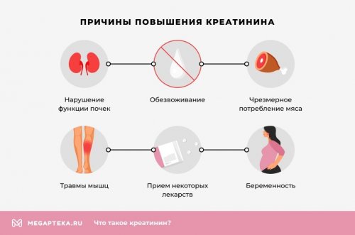Причины повышенного креатинина
