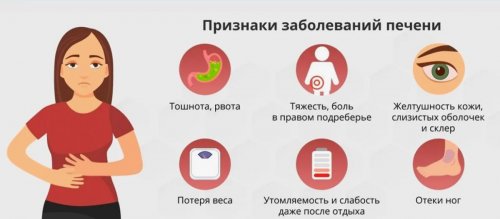 Симптомы заболеваний печени
