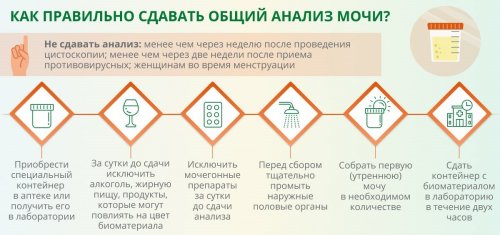 Как правильно сдавать общий анализ мочи
