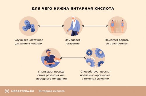 Чем полезна янтарная кислота