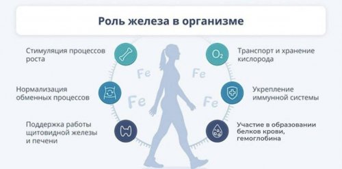 Чем важно железо в организме