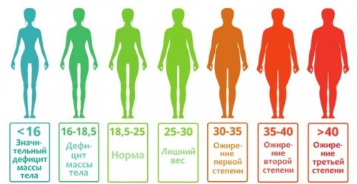 Как рассчитать индекс массы тела