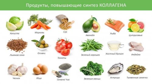Продукты, которые стимулируют выработку коллагена
