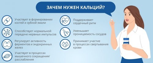 Зачем нужен кальций?