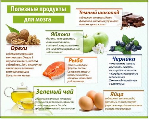 Полезные для мозга продукты