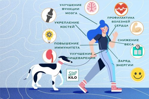 Чем полезна ходьба?