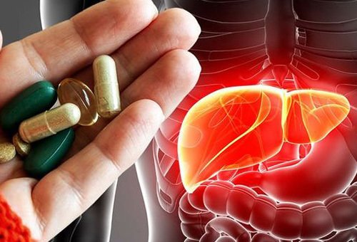 Лучшие недорогие растительные препараты для печени