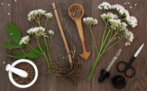 Какие травы помогают уснуть: топ-5 самых эффективных