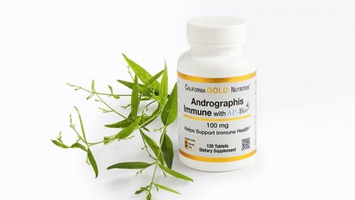 Топ-4 природных усилителя иммунитета, которые стоит включить в рацион