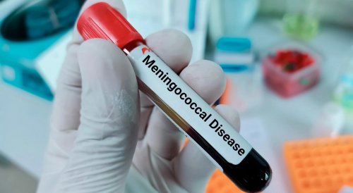 Менингококковая инфекция: что это, почему возникает и чем она опасна
