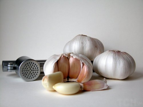 В каких случаях чеснок становится опасным для организма