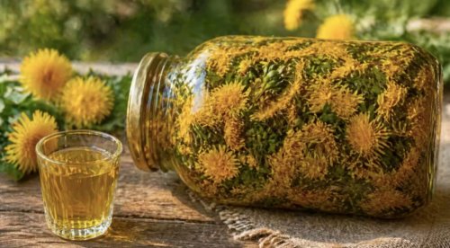 Пока цветет одуванчик: простой рецепт полезной домашней настойки