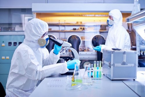 Опасная инфекция из Таиланда: в России зарегистрирован завозной случай мелиоидоза